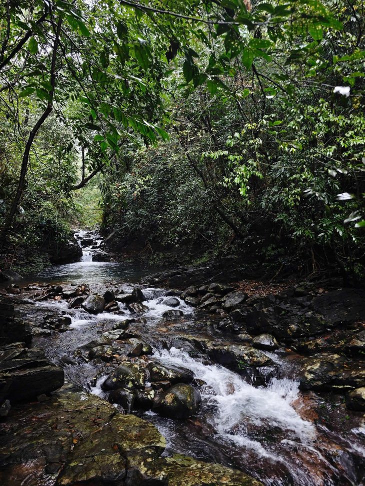 Trekking vườn quốc gia Bạch cùng Hoàng Lê Giang - Ảnh 2.