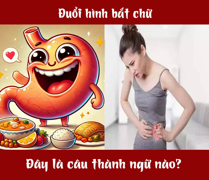 Câu tục ngữ, thành ngữ 'khó nhằn' này là gì? (P95) - Ảnh 1.