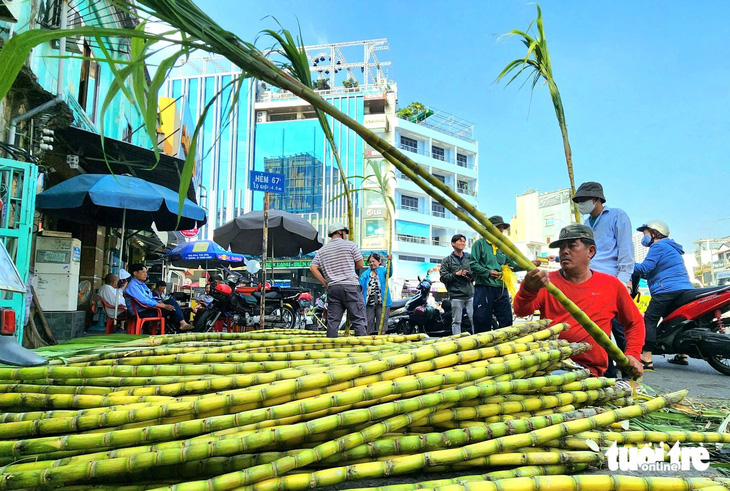 Hoan hỉ mua bán mía vàng trước ngày vía Ngọc Hoàng - Ảnh 4.