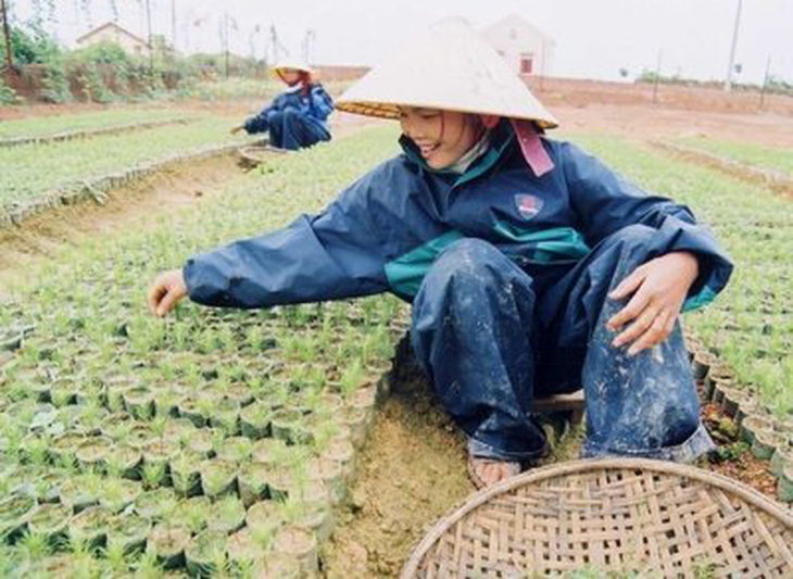 Nhân rộng các mô hình kinh tế có hiệu quả trong thanh niên