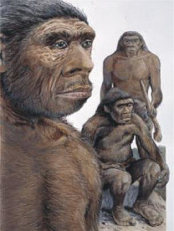 Do đâu người Neanderthal sớm tuyệt chủng?
