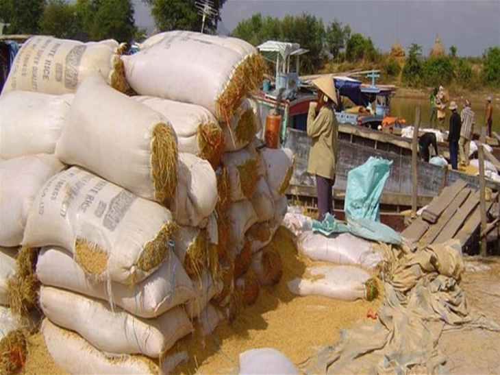 Mỗi ngày nhập 5.000 tấn lúa từ Campuchia