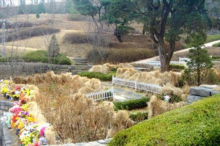 Hàn Quốc: 'Nghĩa trang xanh'