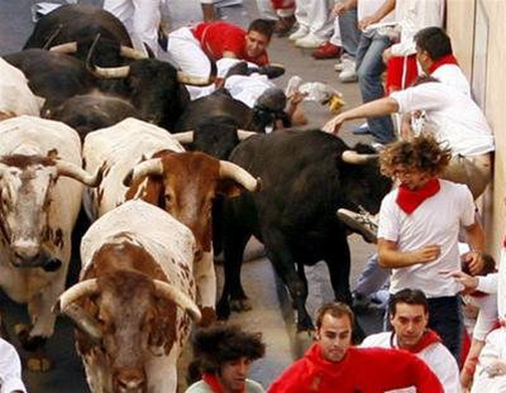 Lễ hội bò tót ở Pamplona