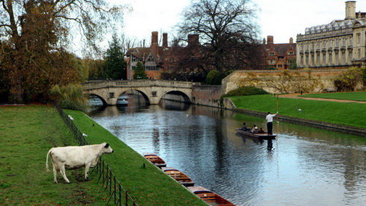 Thăm Trường đại học danh tiếng Cambridge