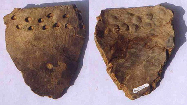 Mảnh gốm thay đổi lịch sử phát triển loài người