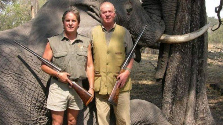 Săn voi, vua Tây Ban Nha mất chức chủ tịch WWF