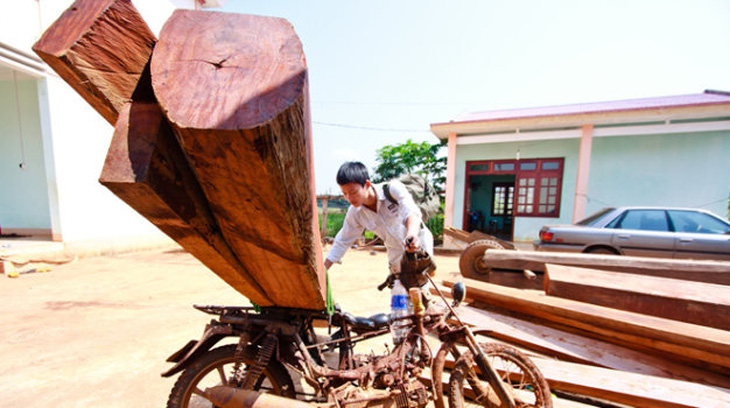 Tan nát rừng biên giới Đức Cơ