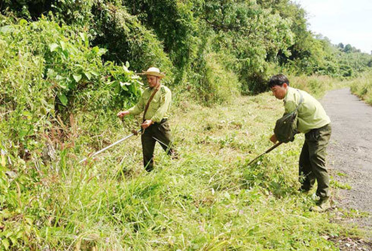 Cảnh báo cháy rừng cấp 5 trên đảo Phú Quốc