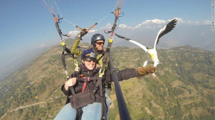 Du lịch dù lượn trên không cùng kền kền ở Nepal