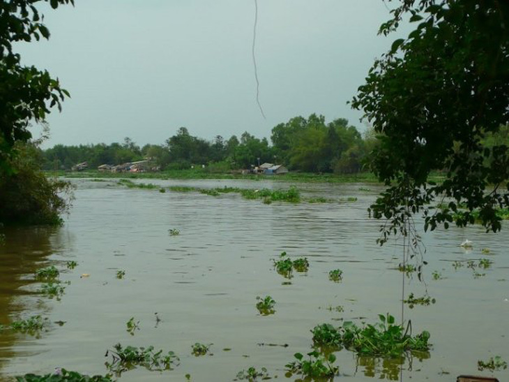 Tây Ninh cải thiện chất lượng nguồn nước sông Vàm Cỏ Đông