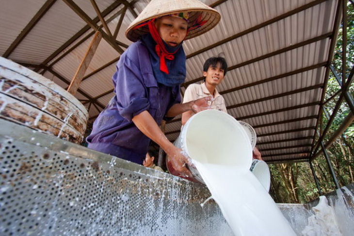 Thanh tra kết luận nhiều lãnh đạo Tổng Công ty Cao su Đồng Nai nhận lương ‘khủng’ - Ảnh 5.