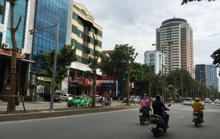 Hà Nội trồng nhiều phượng: Công ty cây xanh nói 'không ngại'