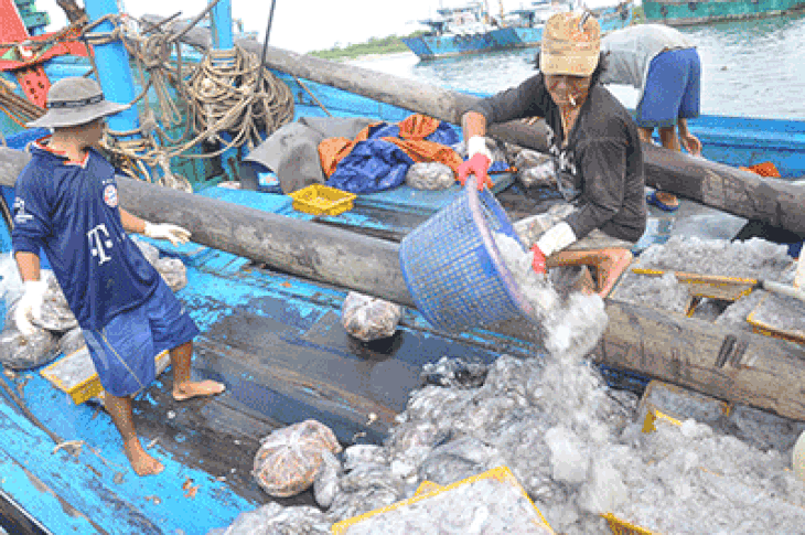 Bắt 5 nghi phạm ‘dằn mặt’ tiểu thương cảng cá Tắc Cậu với giá 2 triệu - Ảnh 2.