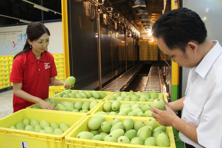 Xuất khẩu trái cây VN bị cản đường