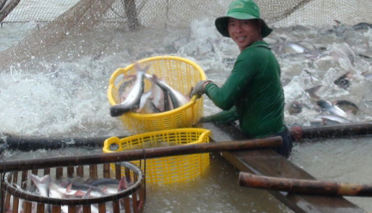 Đại gia thủy sản An Giang bỏ trốn đi nước ngoài: Sắp bán khối nợ 400 tỉ  - Ảnh 2.