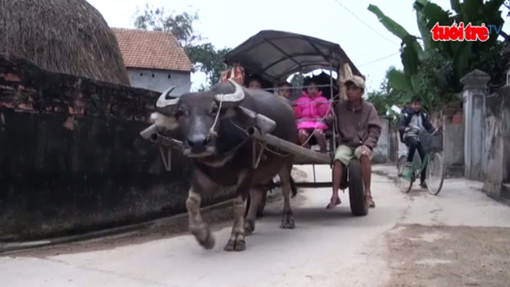 Cảm động người khuyết tật đưa trẻ đến trường bằng xe trâu