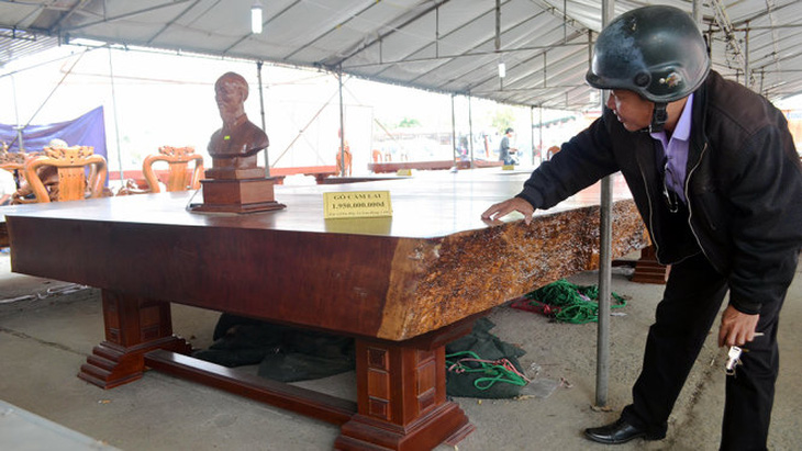 Phản gỗ, mai 2 tỷ đồng ra chợ hoa tết Đà Nẵng