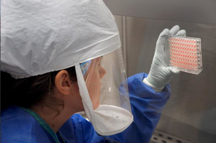 Virút cúm H7N9 ở Trung Quốc dễ lây sang người hơn ở Mỹ