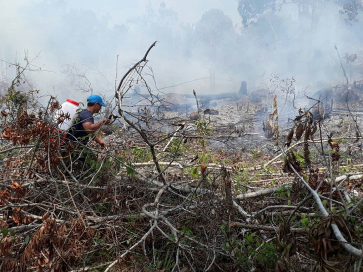 Cháy rừng phòng hộ Phú Quốc