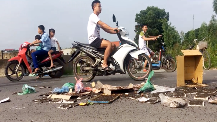 Hà Nội xử lý dứt điểm tình trạng dân mang ruồi chết chặn xe rác