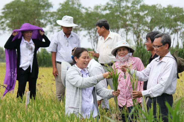 Hội thảo của “nhà khoa học chân đất”