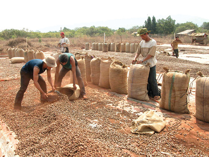 Kho tàng nghệ thuật truyền thống: Những hóa thân trong cuộc sống đương đại