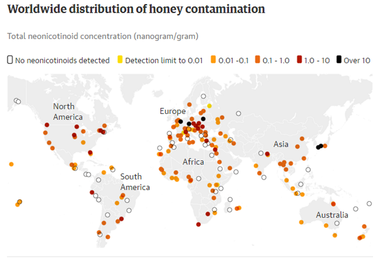 75% mật ong trên thế giới nhiễm thuốc trừ sâu - Ảnh 3.