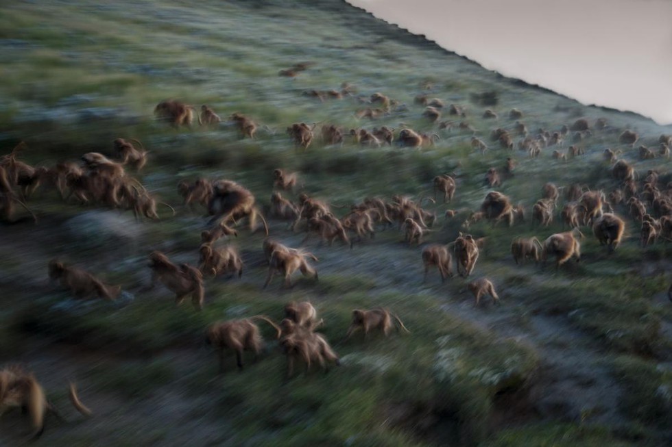 Những bức ảnh xuất sắc nhất của NatGeo năm 2017 - Ảnh 7. Những bức ảnh xuất sắc nhất của NatGeo năm 2017 - Ảnh 7.