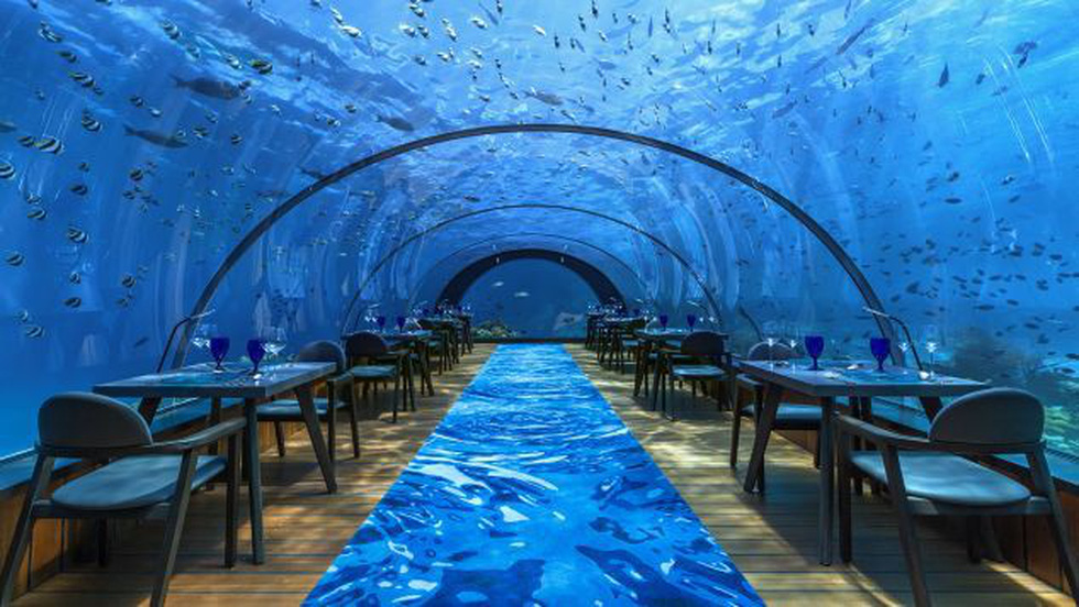 Ăn ngon tại nhà hàng dưới nước lớn nhất thế giới - Ảnh 2.