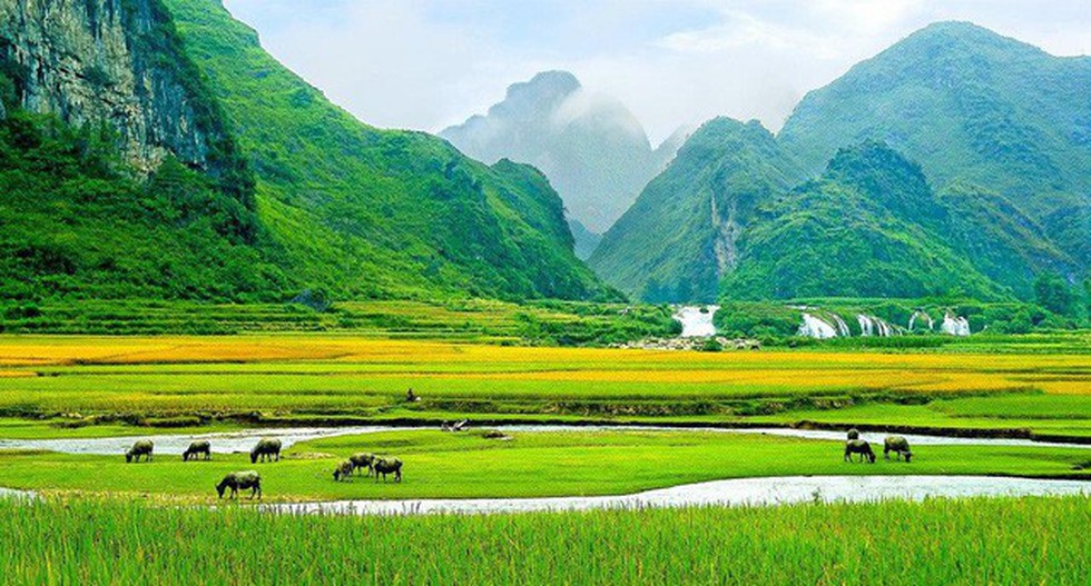Cảnh Việt Nam xanh thẳm, đẹp như thơ - Ảnh 1. Cảnh Việt Nam xanh thẳm, đẹp như thơ - Ảnh 1.
