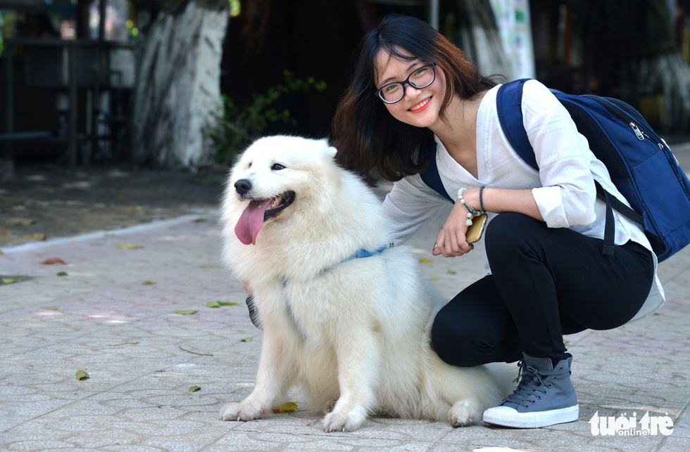 Đến lễ hội cún cưng ngắm những chú cún cực dễ thương - Ảnh 6. Đến lễ hội cún cưng ngắm những chú cún cực dễ thương - Ảnh 6.