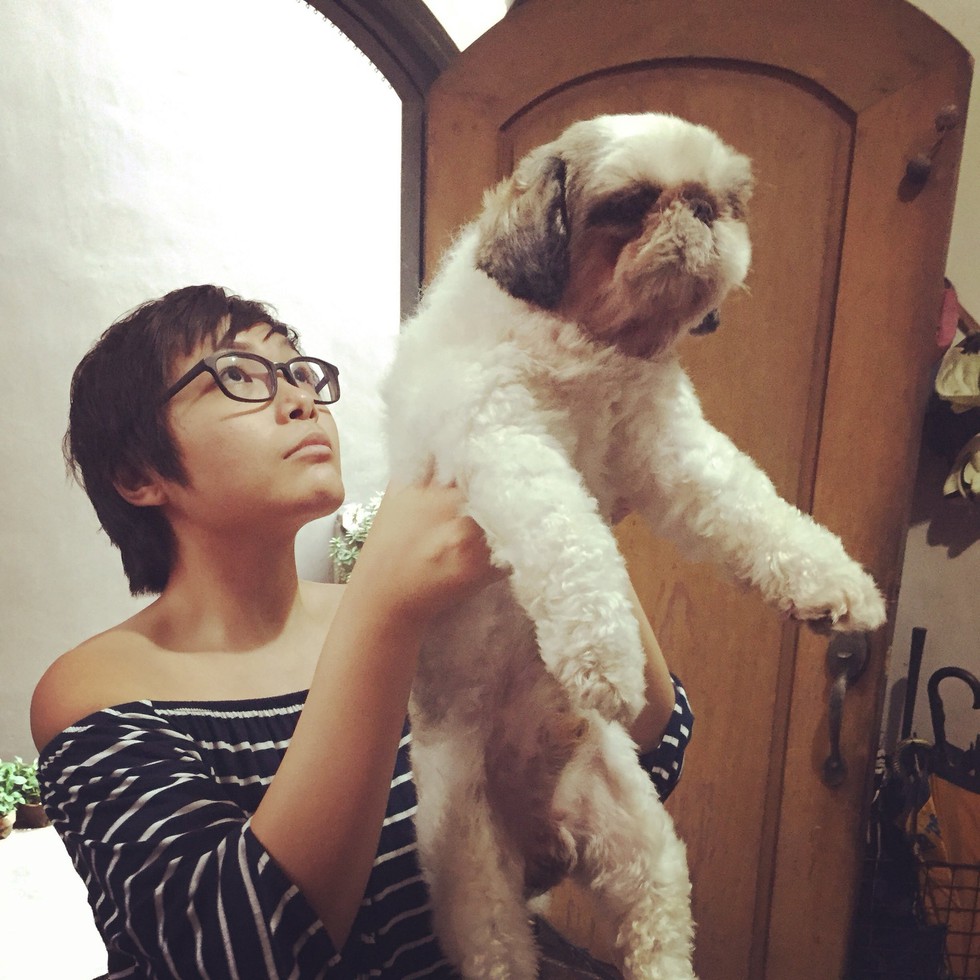 Quá mê The Lion King, khán giả chế ảnh Simba phiên bản chó mèo - Ảnh 6. Quá mê The Lion King, khán giả chế ảnh Simba phiên bản chó mèo - Ảnh 6.