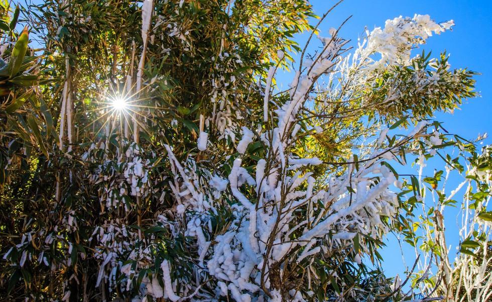 Hoàng Liên Sơn - điểm du lịch đáng đến 2019 của National Geographic - Ảnh 9. Hoàng Liên Sơn - điểm du lịch đáng đến 2019 của National Geographic - Ảnh 9.