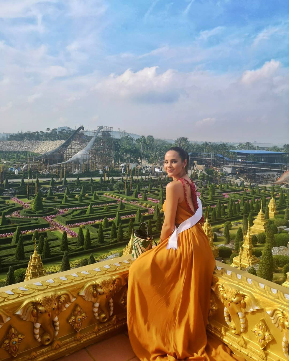 Kiểu catwalk nham thạch của Hoa hậu Hoàn vũ Catriona Gray - Ảnh 6. Kiểu catwalk nham thạch của Hoa hậu Hoàn vũ Catriona Gray - Ảnh 6.
