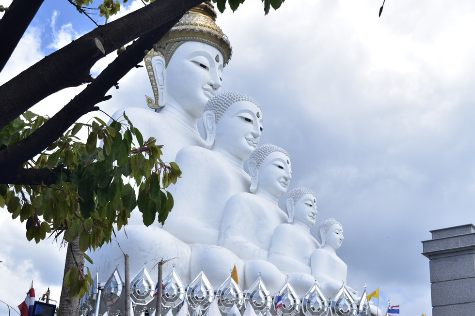 Tháng 12, Chiang Mai rực rỡ mùa hoa anh đào - Ảnh 2.