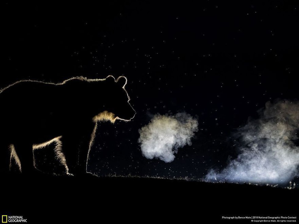 Ngắm ảnh ấn tượng cuộc thi National Geographic Photo Contest 2018 - Ảnh 18. Ngắm ảnh ấn tượng cuộc thi National Geographic Photo Contest 2018 - Ảnh 18.