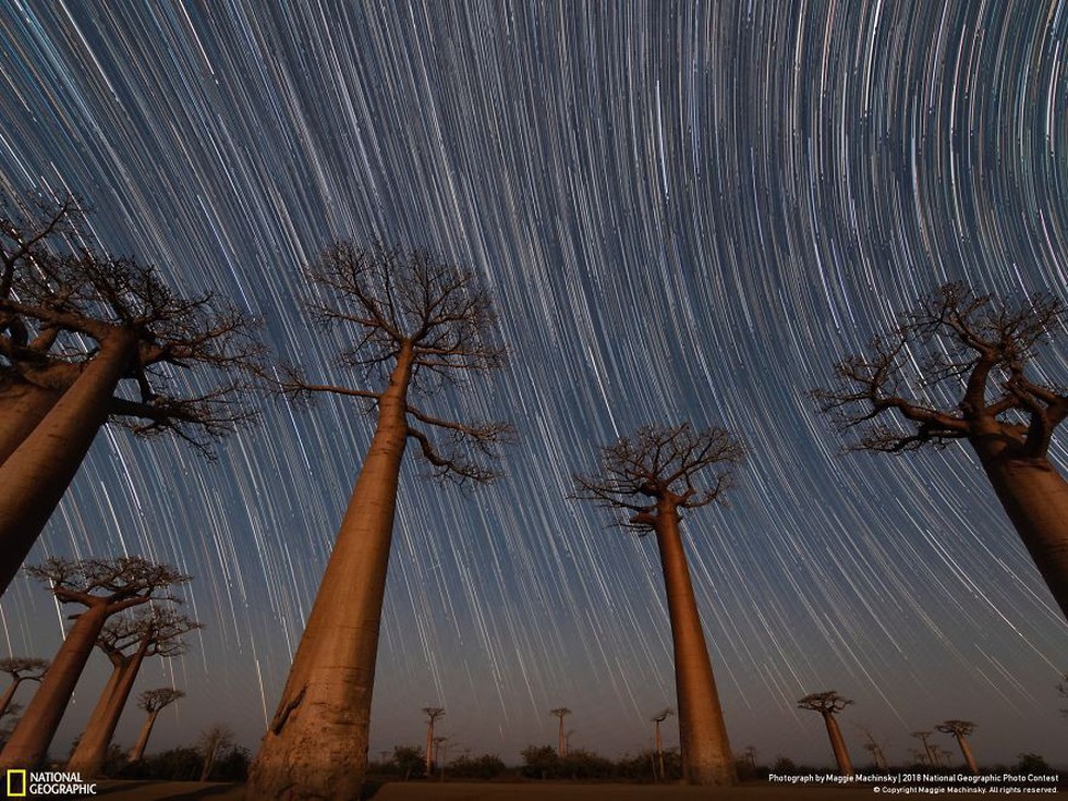 Ngắm ảnh ấn tượng cuộc thi National Geographic Photo Contest 2018 - Ảnh 16. Ngắm ảnh ấn tượng cuộc thi National Geographic Photo Contest 2018 - Ảnh 16.