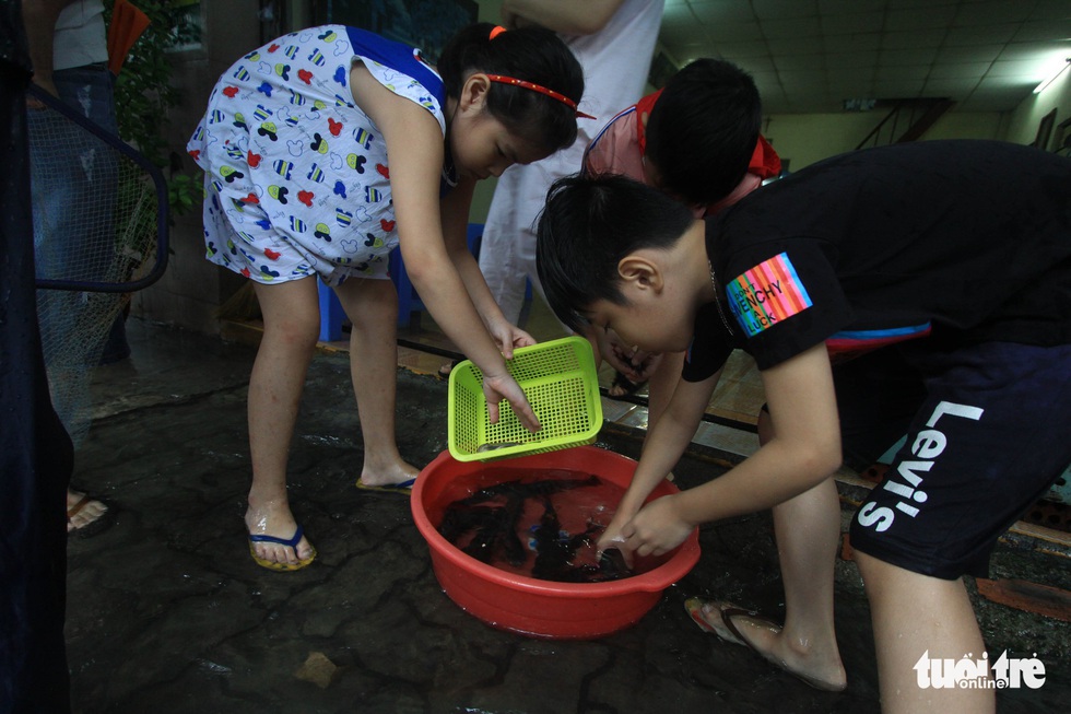 Sau mưa, dân Đà Nẵng nô nức ra đường bắt cá - Ảnh 5. Sau mưa, dân Đà Nẵng nô nức ra đường bắt cá - Ảnh 5.
