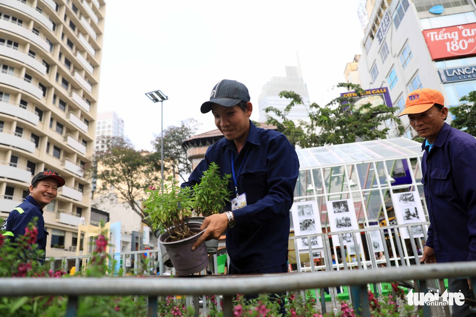 Chó Phú Quốc nổi bật ở đường hoa Nguyễn Huệ - Ảnh 14. Chó Phú Quốc nổi bật ở đường hoa Nguyễn Huệ - Ảnh 14.
