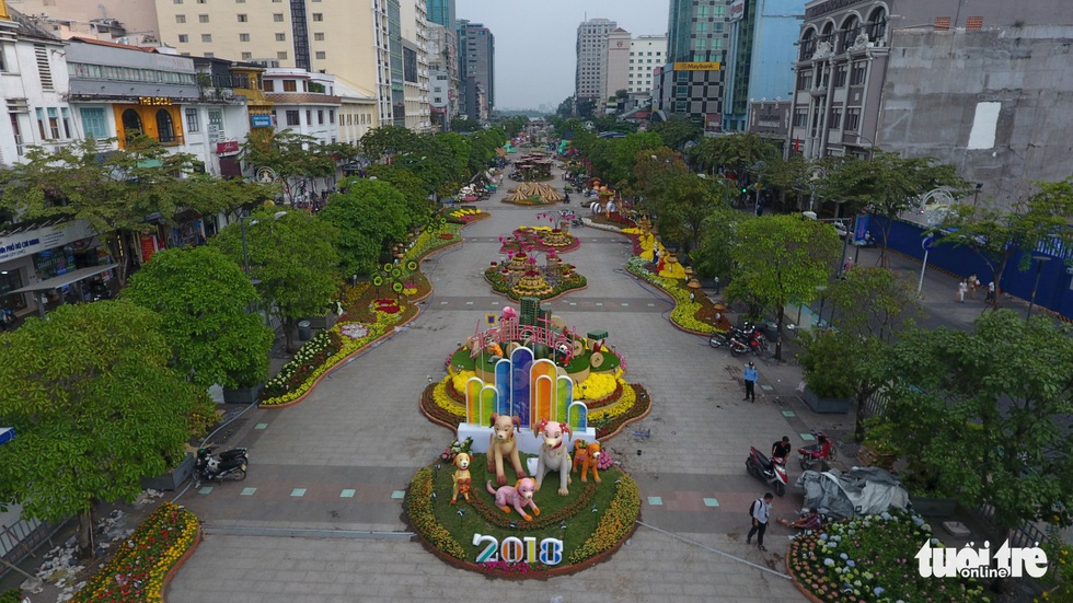 Chó Phú Quốc nổi bật ở đường hoa Nguyễn Huệ - Ảnh 6. Chó Phú Quốc nổi bật ở đường hoa Nguyễn Huệ - Ảnh 6.