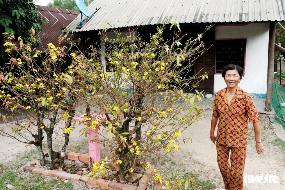 Miền Tây ngày giáp tết: gốc mai, bông thọ và... Đắp mộ cuộc tình - Ảnh 8.