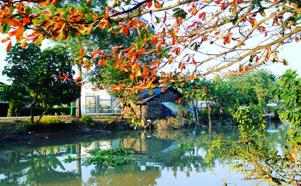 Mùa xuân đi thăm làng cổ Đông Hòa Hiệp - Ảnh 3. Mùa xuân đi thăm làng cổ Đông Hòa Hiệp - Ảnh 3.