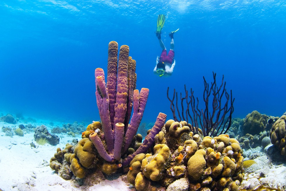 Curaçao: đến nơi nắng ngập tràn ngắm nữ hoàng - Ảnh 4. Curaçao: đến nơi nắng ngập tràn ngắm nữ hoàng - Ảnh 4.