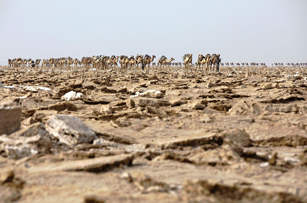 Đến Ethiopia khám phá ‘vùng chảo’ sa mạc Danakil - Ảnh 16.