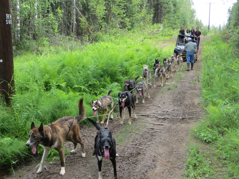 Alaska - trải nghiệm độc đáo miền băng giá - Ảnh 6. Alaska - trải nghiệm độc đáo miền băng giá - Ảnh 6.