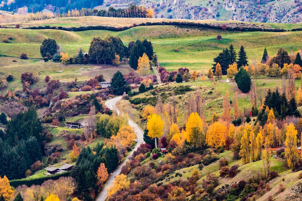 New Zealand - mùa thu mê đắm lòng người - Ảnh 13. New Zealand - mùa thu mê đắm lòng người - Ảnh 13.