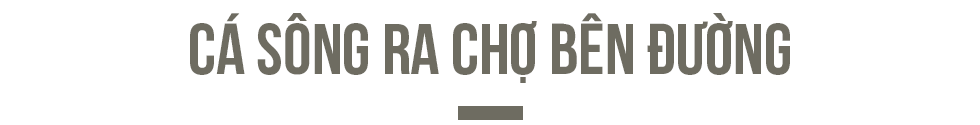 Đi theo những đàn cá sông - Ảnh 5. Đi theo những đàn cá sông - Ảnh 5.