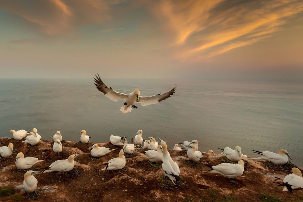 Ảnh thiên nhiên đẹp ngẩn ngơ từ cuộc thi ảnh du lịch NatGeo - Ảnh 9. Ảnh thiên nhiên đẹp ngẩn ngơ từ cuộc thi ảnh du lịch NatGeo - Ảnh 9.
