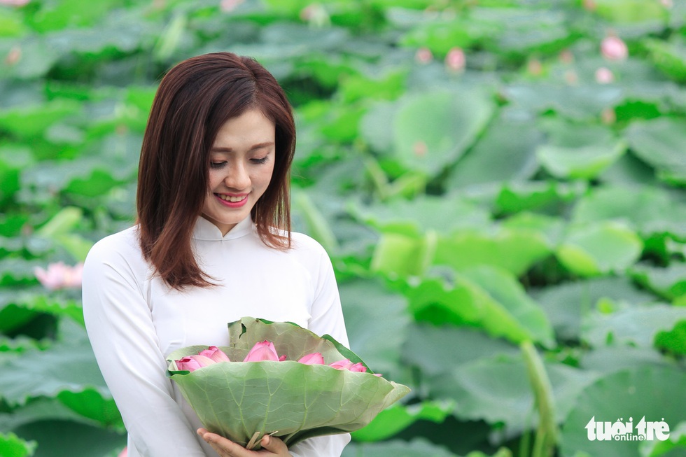 Sen hồ Tây nở rộ, giới trẻ đua nhau chụp hình - Ảnh 5.